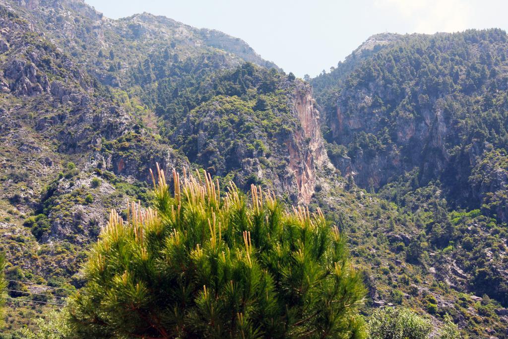 فيلا Sea And Mountain View كالاماتا المظهر الخارجي الصورة